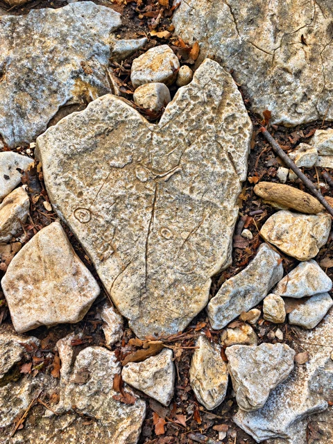 Pedra em forma de coração entre folhas e outras pedras.